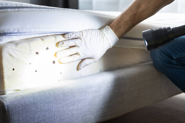 Best Emergency Pest Control  in , PA